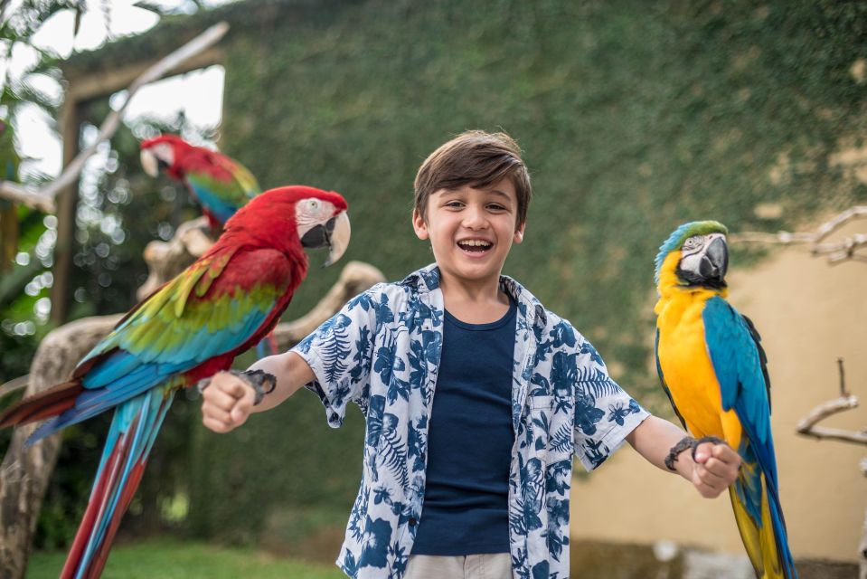 Bali Bird Park 1-Day Admission Ticket - Visiting the Reptile Park