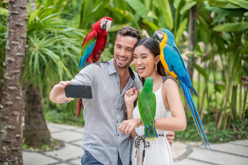 Bali Bird Park 1-Day Admission Ticket - Getting to Bali Bird Park