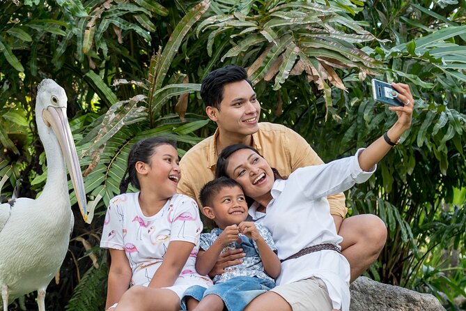 Bali Bird Park Admission Ticket - Interactive Feeding Sessions