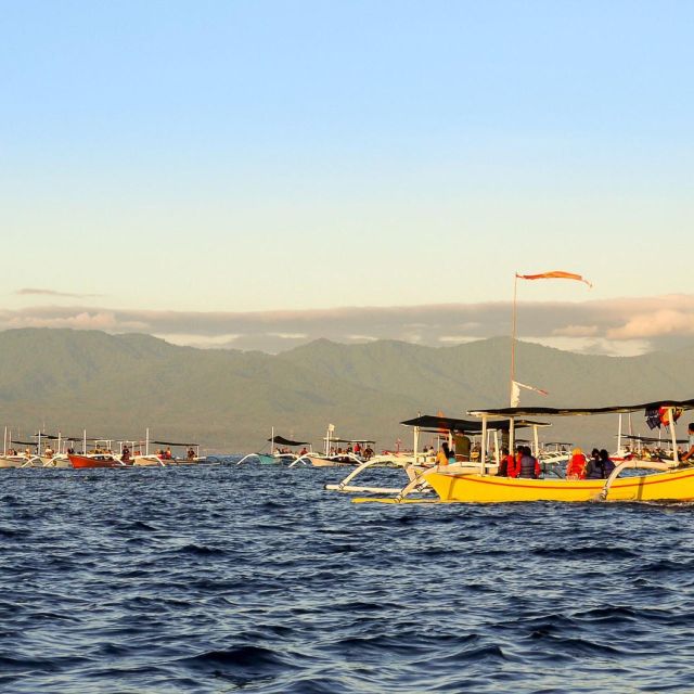 Bali Bliss: Dolphin Lovina Private Expedition - Key Points