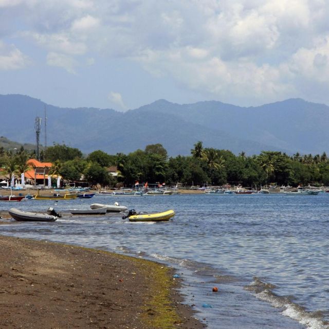 Bali Bliss: Dolphin Lovina Private Expedition - Inclusions and Exclusions