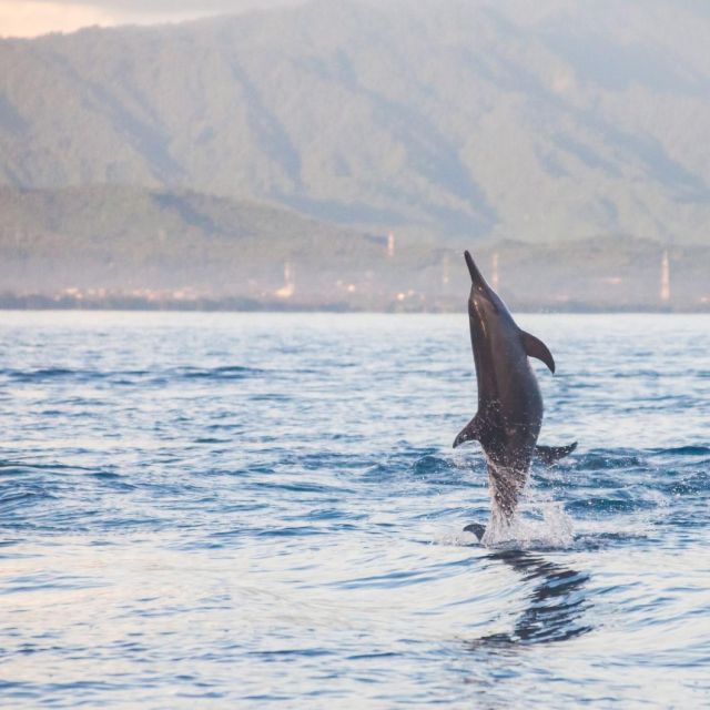 Bali Bliss: Dolphin Lovina Private Expedition - Tour Details