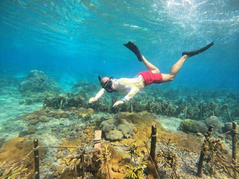 Bali: Blue Lagoon and Tanjung Jepun Snorkeling Tour - Final Thoughts: Is This Tour Right for You?