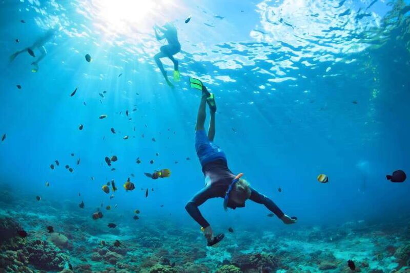 Bali: Blue Lagoon and Tanjung Jepun Snorkeling Tour - An Honest Look at the Tour Experience