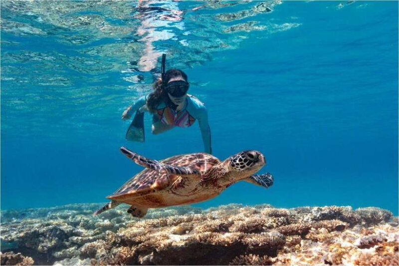 Bali: Blue Lagoon and Tanjung Jepun Snorkeling Tour - Who Should Consider This Tour?