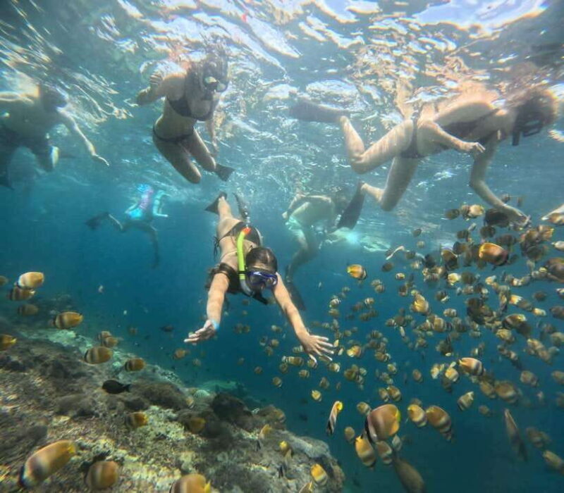 Bali: Blue Lagoon and Tanjung Jepun Snorkeling Tour with - Key Points