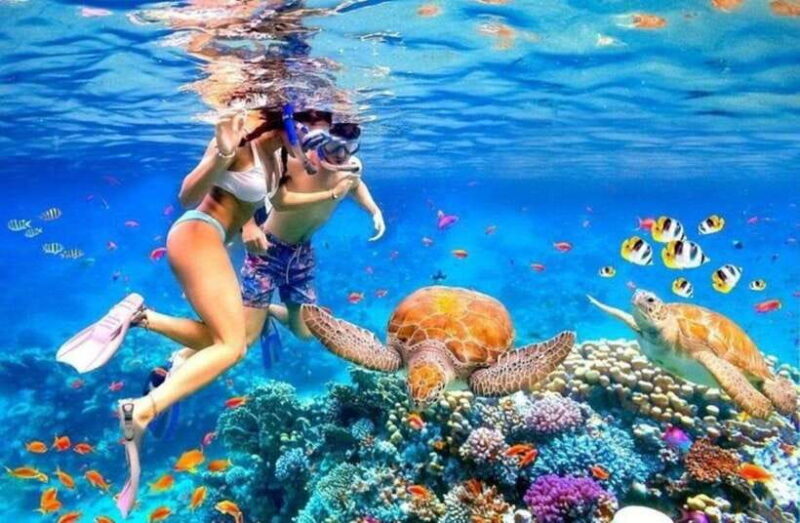 Bali: Blue Lagoon and Tanjung Jepun Snorkeling Trip - Detailed Review of the Snorkeling Tour