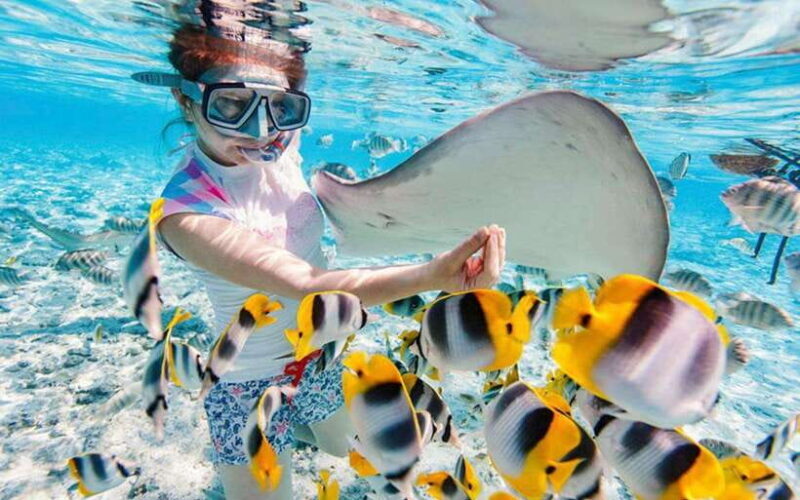 Bali Blue Lagoon Snorkeling Tour - Introduction