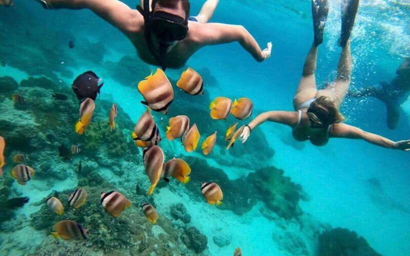 Bali Blue Lagoon Snorkeling Tour - Why It’s a Good Value