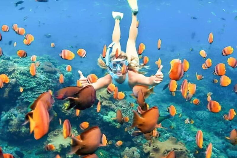 Bali: Blue Lagoon Snorkeling Tour with Ayung River Rafting - Key Points