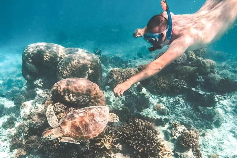 Bali: Blue Lagoon Snorkeling Tour with Ayung River Rafting - An Authentic Bali Adventure: What to Expect