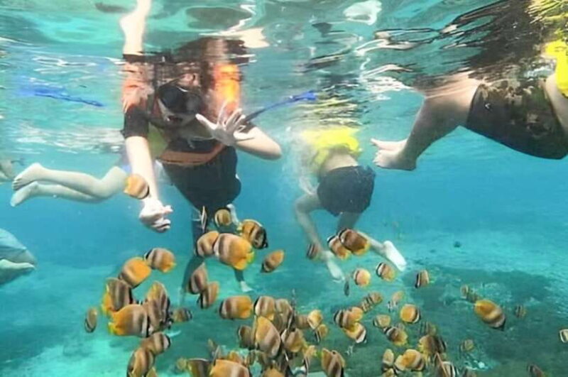 Bali: Blue Lagoon Snorkeling Tour with Ayung River Rafting - Final Thoughts