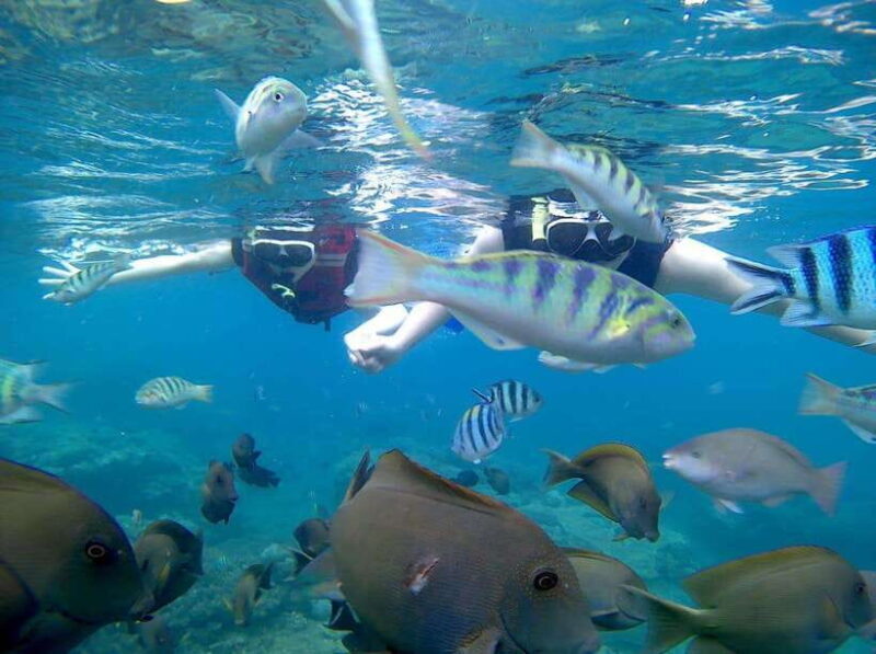 Bali: Blue Lagoon Snorkeling & Waterfall Tour - The Experience from a Traveler’s Perspective