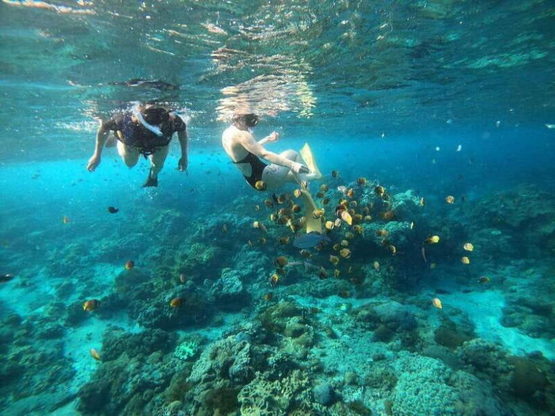 Bali: Blue Lagoon Snorkeling with Meal - Key Points