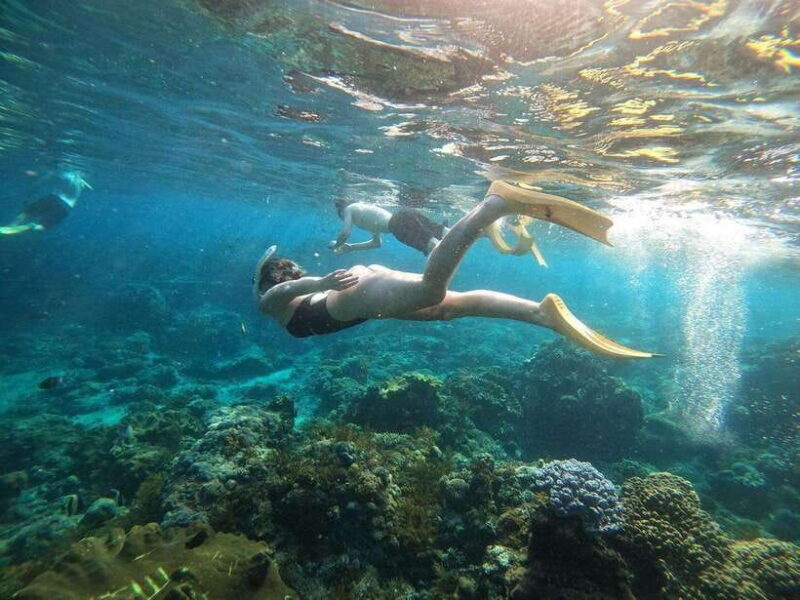 Bali: Blue Lagoon Snorkeling with Meal - An In-Depth Look at the Blue Lagoon Snorkeling Tour