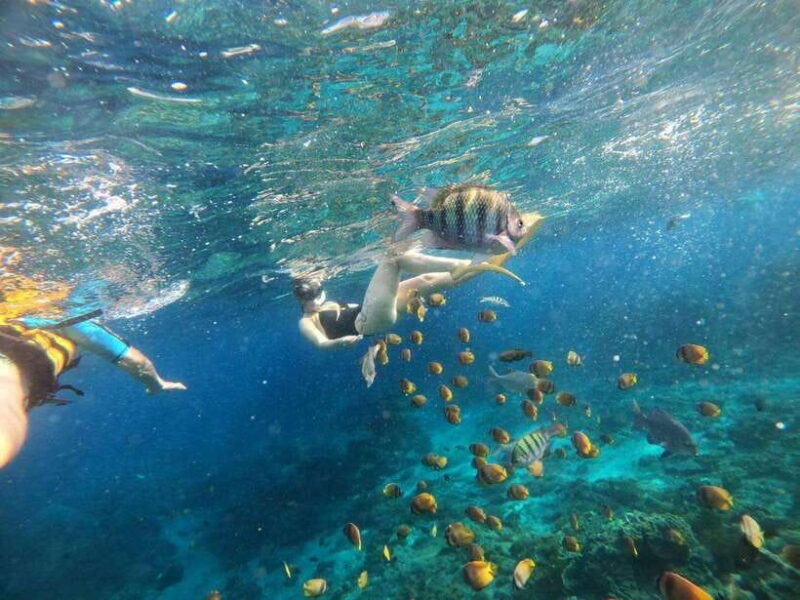 Bali: Blue Lagoon Snorkeling with Meal - Final Thoughts