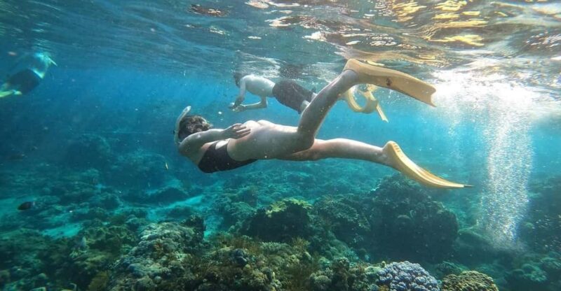 Bali: Blue Lagoon Snorkeling With Meal - Experience and Itinerary
