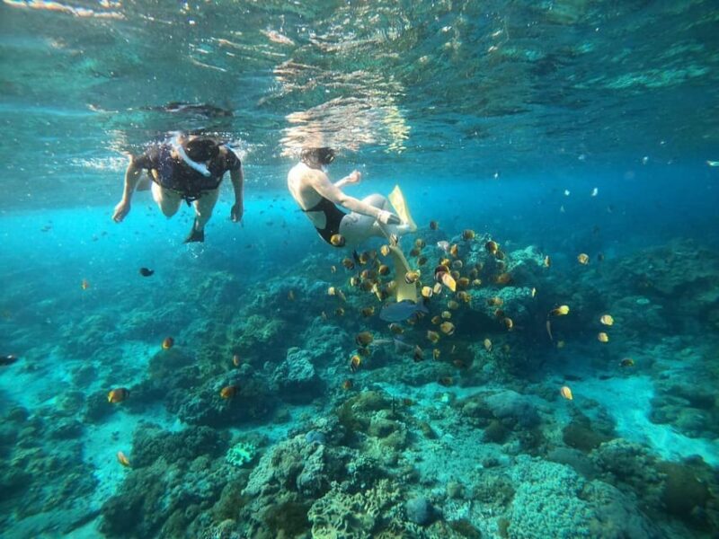 Bali: Blue Lagoon Snorkeling With Meal - Inclusions and Amenities