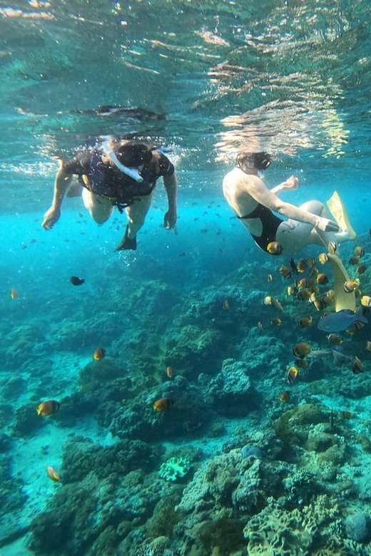 Bali: Blue Lagoon Snorkeling With Meal - Marine Life Exploration