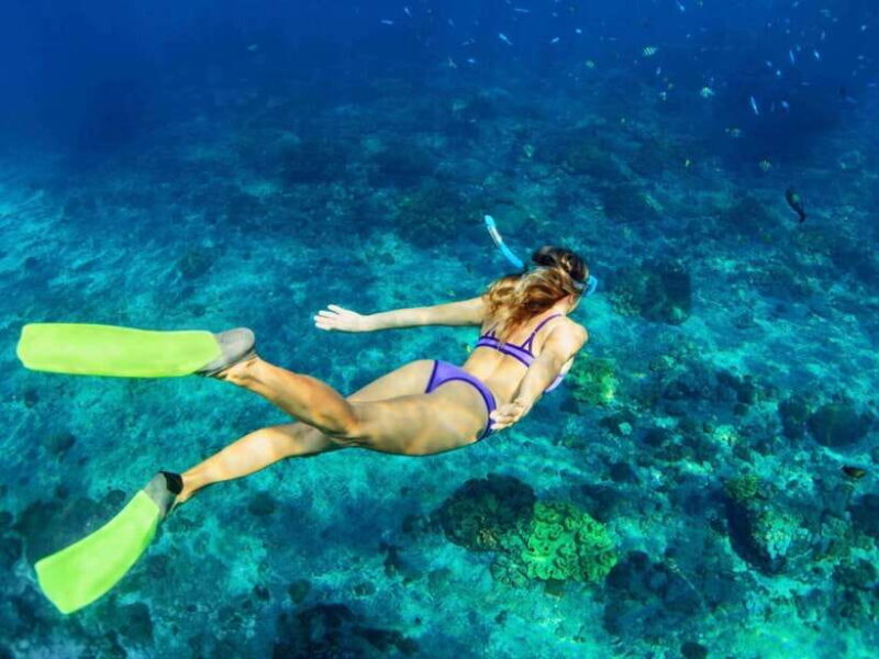 Bali: Blue Lagoon & Tanjung Jepun Snorkeling & lunch - An In-Depth Look at the Tour Experience