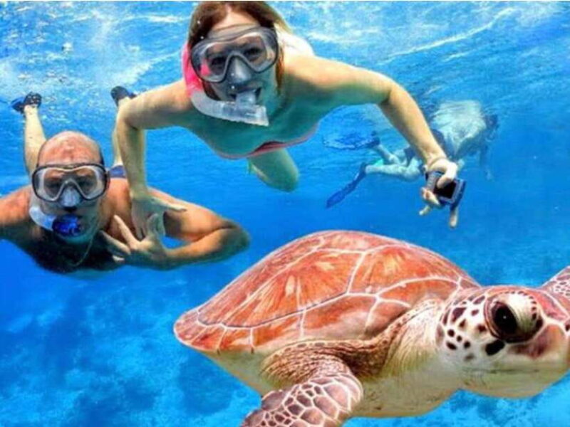 Bali: Blue Lagoon & Tanjung Jepun Snorkeling & lunch - Practicalities and Tips for Travelers
