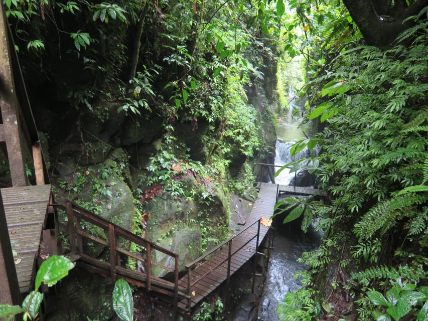 Bali: Canyon Tubing Adventure - Included Activities and Experiences