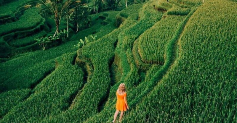 Bali: Clasic Bali Tour All Inclussive - Good To Know