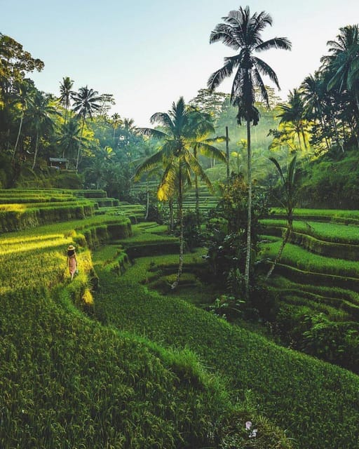 Bali: Clasic Bali Tour All Inclussive - Frequently Asked Questions