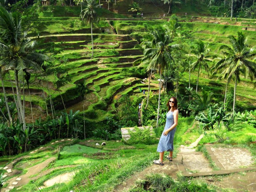 Bali: Costumized Tour With Private Transport and Guide - Key Points