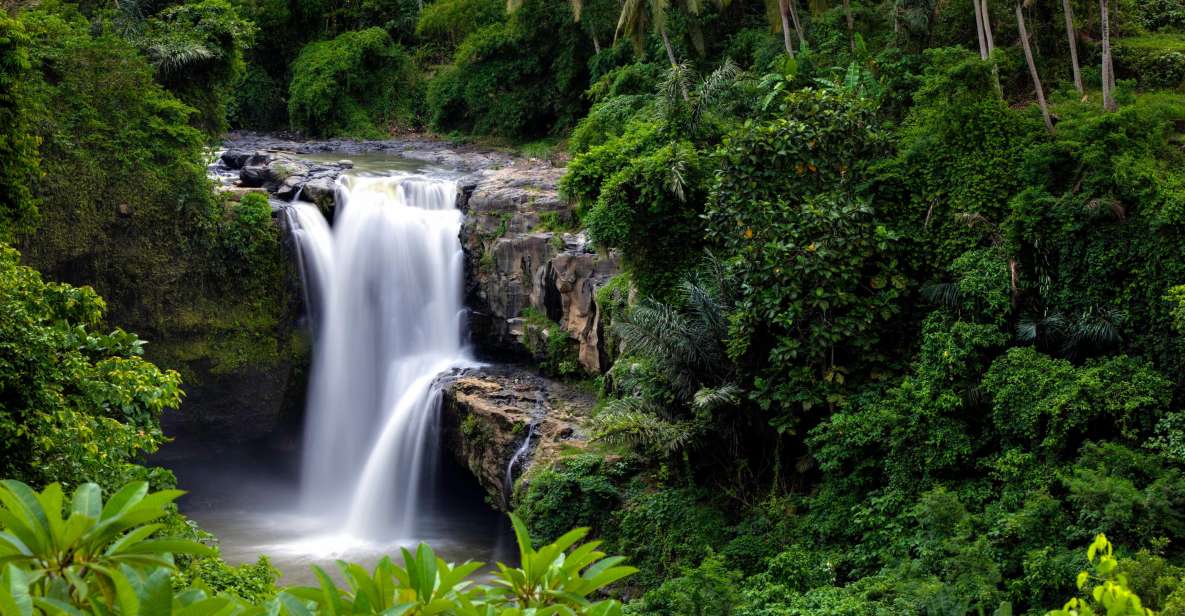 Bali: Costumized Tour With Private Transport and Guide - Flexibility and Customization