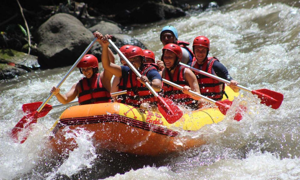 Bali: Costumized Tour With Private Transport and Guide - Transportation and Guide
