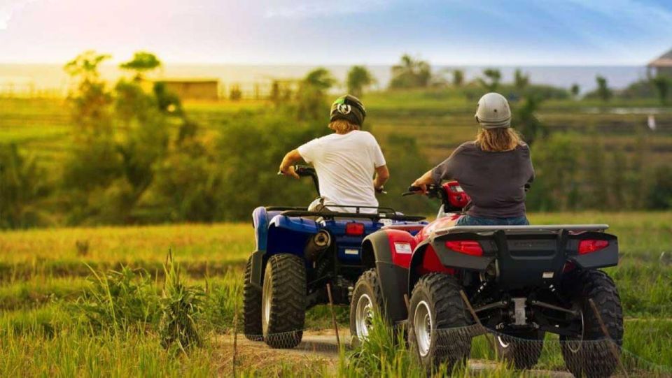 Bali: Costumized Tour With Private Transport and Guide - Booking and Cancellation