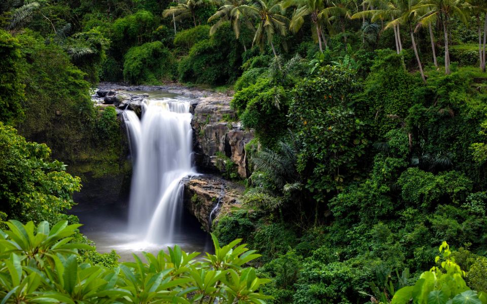 Bali: Costumized Tour With Private Transport and Guide - Frequently Asked Questions