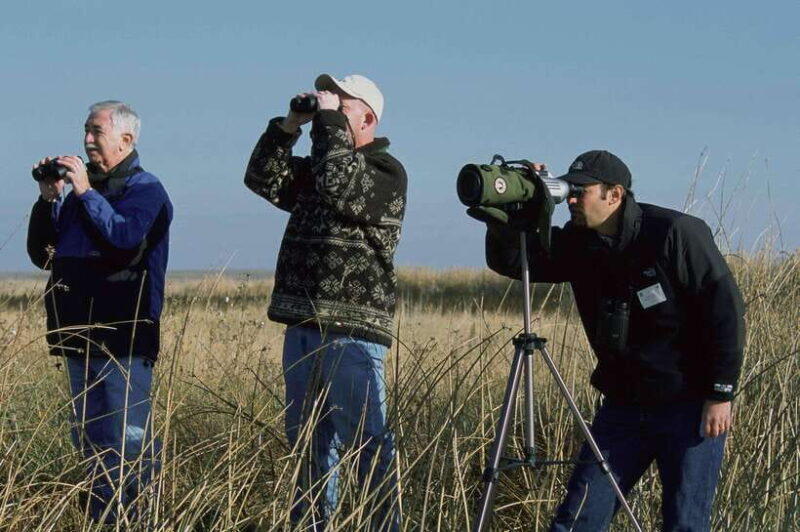Bali: Countryside Bird Watching Tour with Hotel Transfer - Key Points