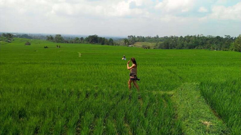 Bali: Customizable Private Tour - FAQ