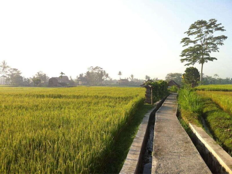 Bali: Customizable Tour with Local Guide - Key Points