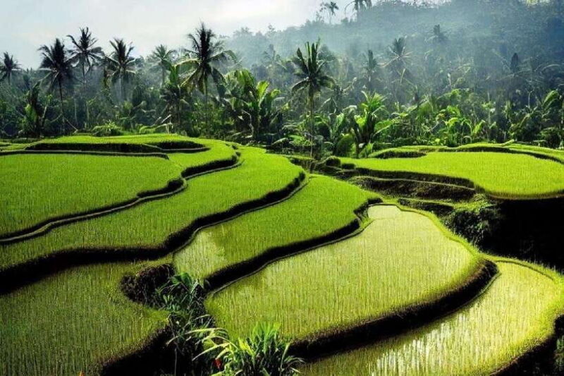 Bali: Customizable Tour with Local Guide - The Sum Up