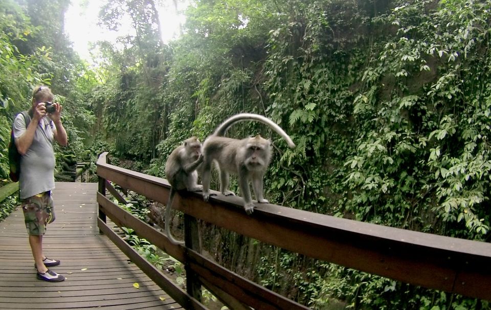 Bali: Customize Your Own Private Guided Tour in Bali - Customize Your Nusa Penida Trip