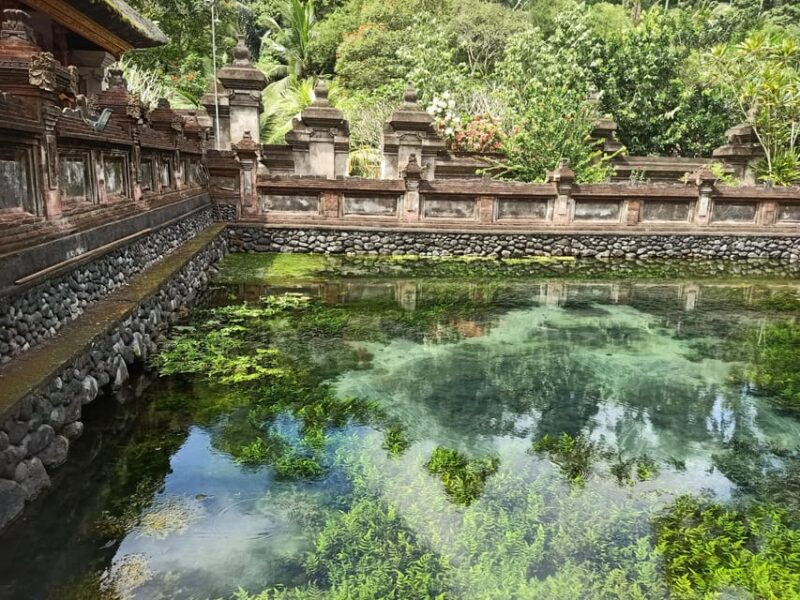 Bali: Customized Private Day Tour With Guide-Driver - Itinerary and Highlights