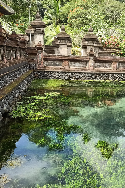 Bali: Customized Private Day Tour With Guide-Driver - Inclusions