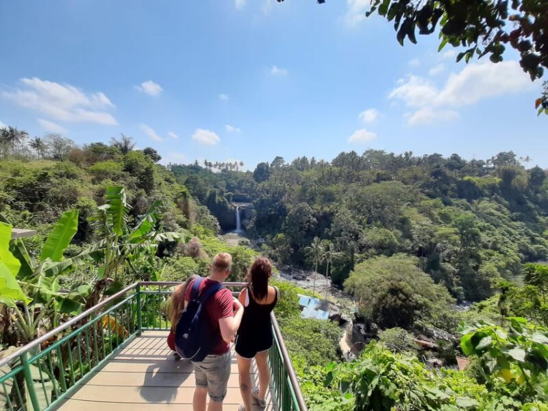 Bali: Customized Private Tour - Good To Know