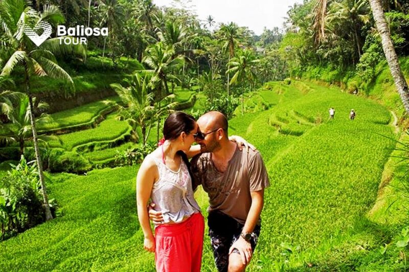 Bali: Customized Private Tour - Booking Information