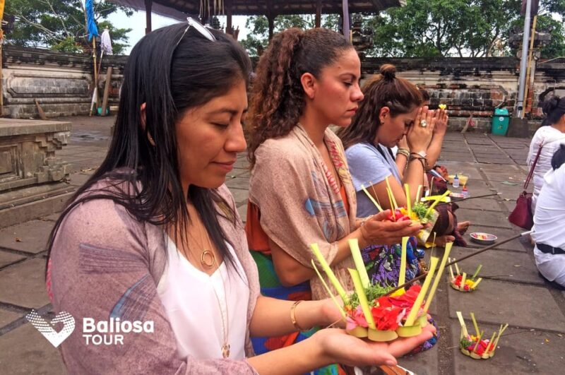 Bali: Customized Private Tour - Inclusions and Exclusions
