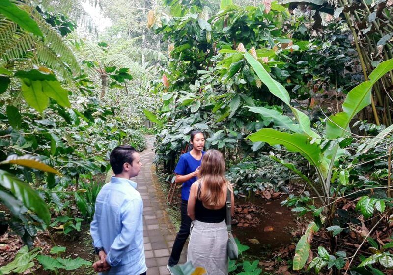 Bali: Customized Private Tour - Important Guidelines