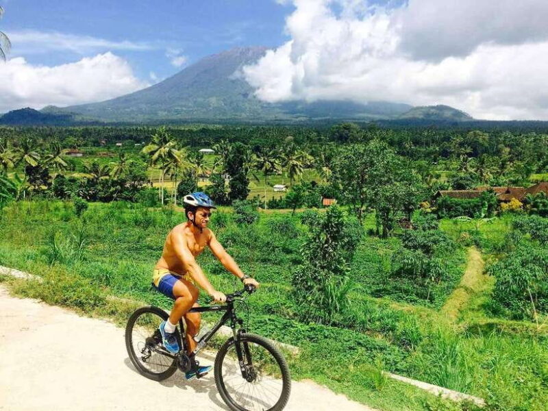 Bali: Cycling Tour with Lunch and Hotel Transfer - Who Will Love This Tour?