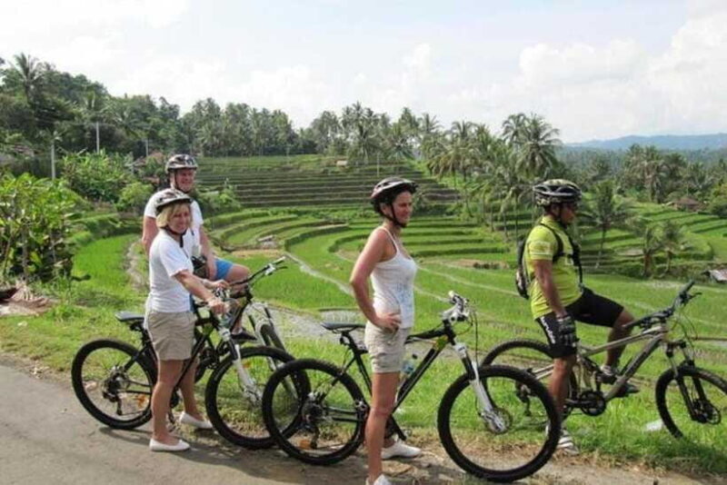 Bali: Cycling Tour with Lunch and Hotel Transfer - Why This Tour Stands Out
