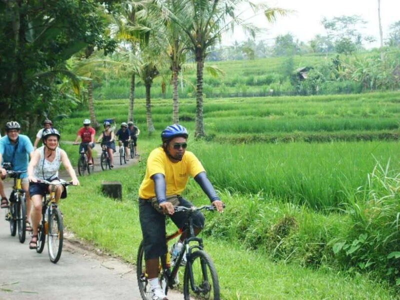 Bali: Cycling Tour with Lunch and Hotel Transfer - Who Should Consider This Tour?