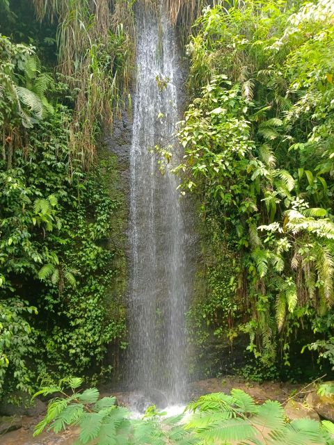 Bali : Day Trip to Besakih Temple & 2 Hidden Waterfalls - Key Points