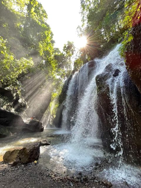 Bali : Day Trip to Besakih Temple & 2 Hidden Waterfalls - Optional Excursion Activities
