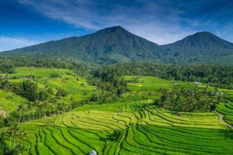 Bali : Design Your Customize Trip with Private Driver - Who Will Love This Tour?